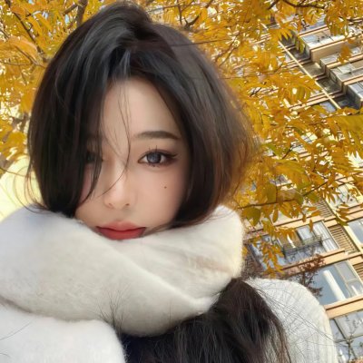 灵探特莱丝